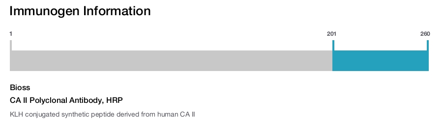 CA II Polyclonal Antibody, HRP