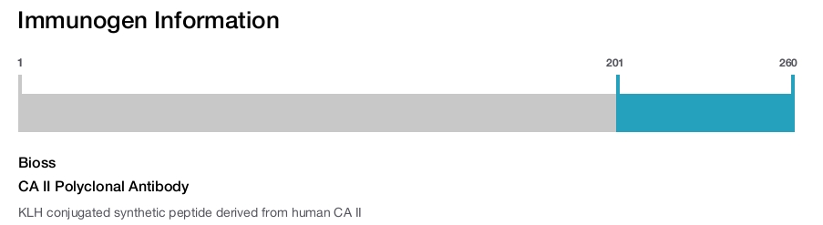 CA II Polyclonal Antibody