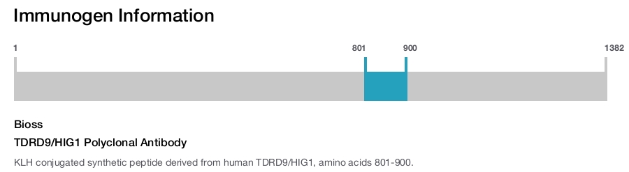 TDRD9/HIG1 Polyclonal Antibody