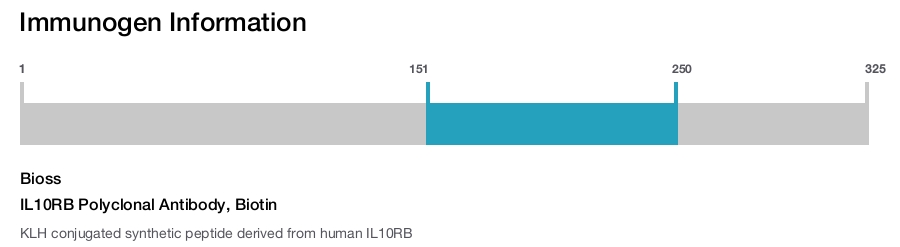 IL10RB Polyclonal Antibody, Biotin