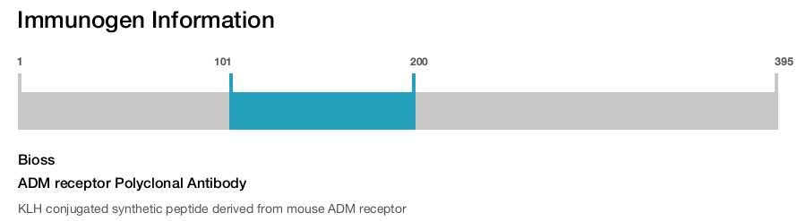 ADM receptor Polyclonal Antibody