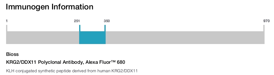 KRG2/DDX11 Polyclonal Antibody, Alexa Fluor&trade; 680