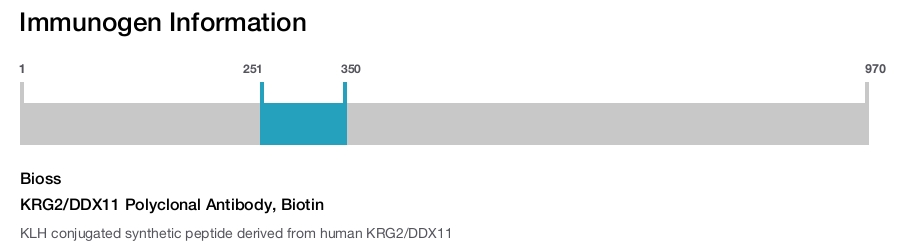 KRG2/DDX11 Polyclonal Antibody, Biotin