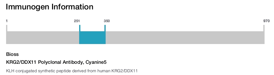 KRG2/DDX11 Polyclonal Antibody, Cyanine5