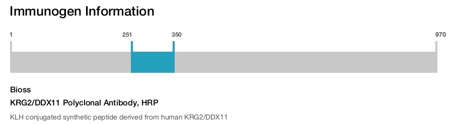 KRG2/DDX11 Polyclonal Antibody, HRP