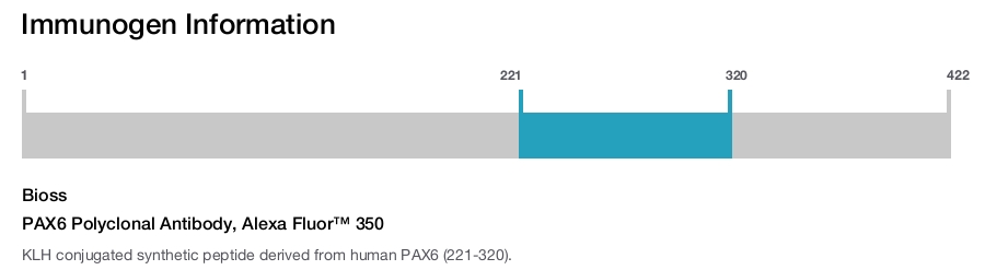 PAX6 Polyclonal Antibody, Alexa Fluor&trade; 350