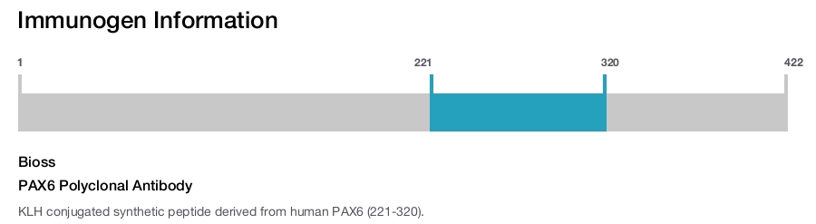 PAX6 Polyclonal Antibody