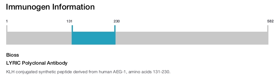 LYRIC Polyclonal Antibody