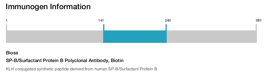 SP-B/Surfactant Protein B Polyclonal Antibody, Biotin