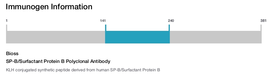 SP-B/Surfactant Protein B Polyclonal Antibody