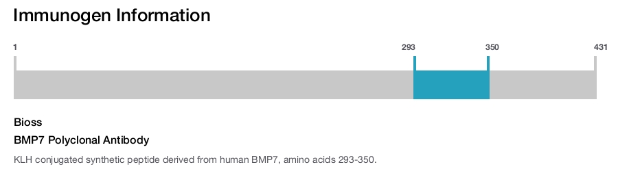BMP7 Polyclonal Antibody