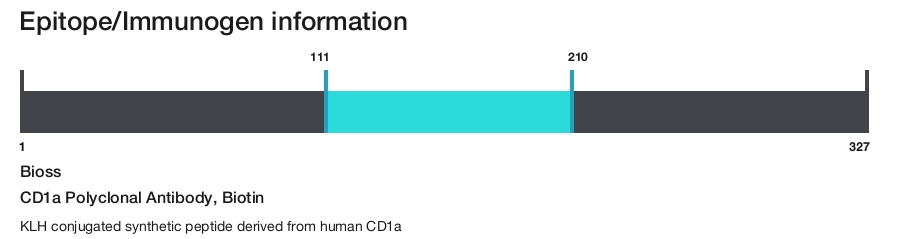 CD1a Polyclonal Antibody, Biotin