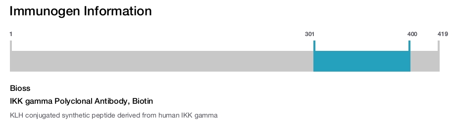 IKK gamma Polyclonal Antibody, Biotin