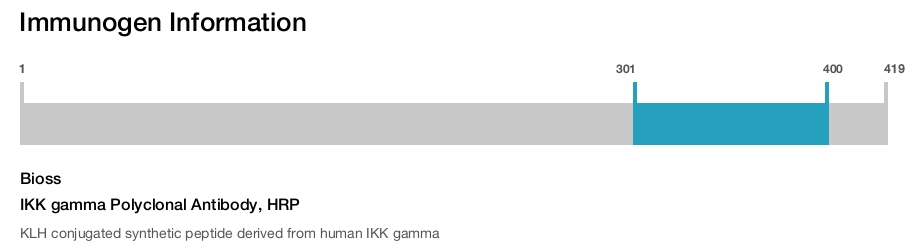 IKK gamma Polyclonal Antibody, HRP