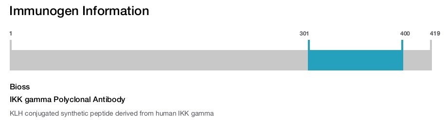 IKK gamma Polyclonal Antibody