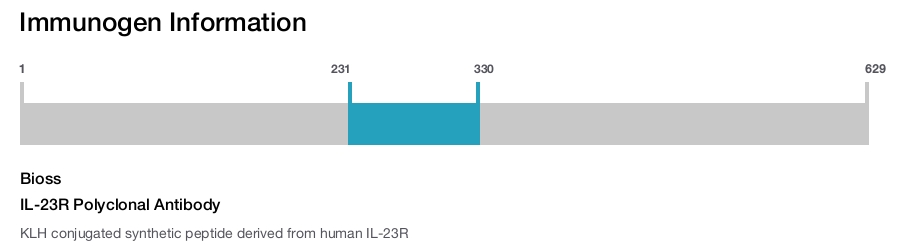 IL-23R Polyclonal Antibody