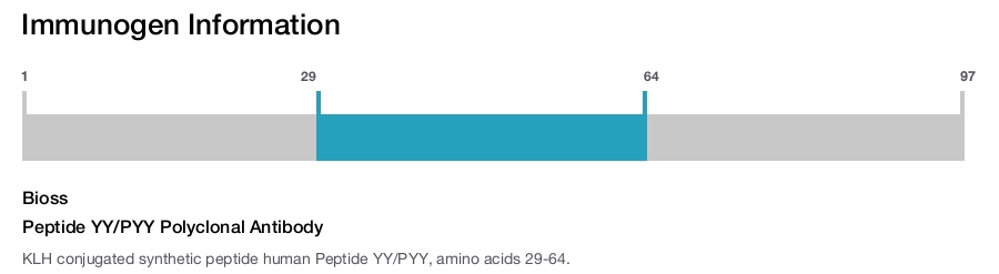 Peptide YY/PYY Polyclonal Antibody
