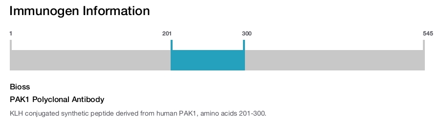 PAK1 Polyclonal Antibody