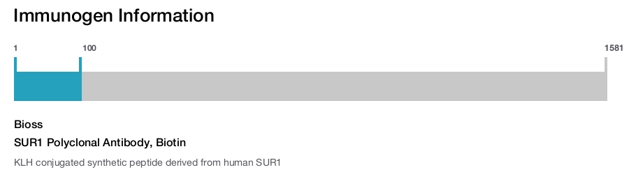 SUR1 Polyclonal Antibody, Biotin