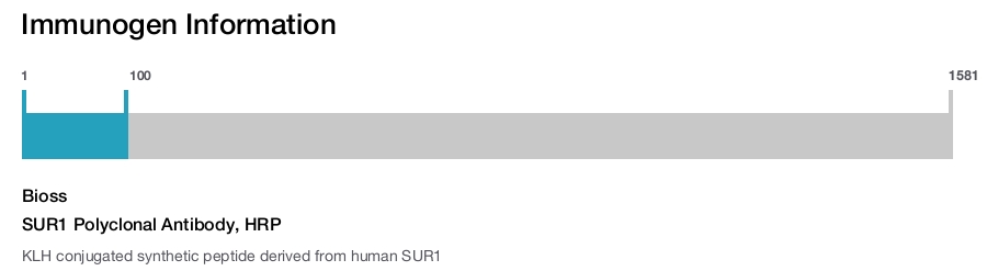 SUR1 Polyclonal Antibody, HRP