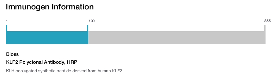 KLF2 Polyclonal Antibody, HRP