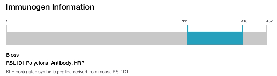 RSL1D1 Polyclonal Antibody, HRP