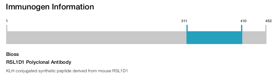 RSL1D1 Polyclonal Antibody