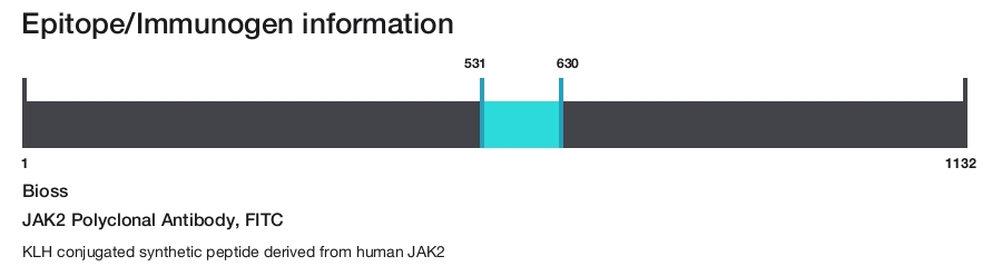 JAK2 Polyclonal Antibody, FITC