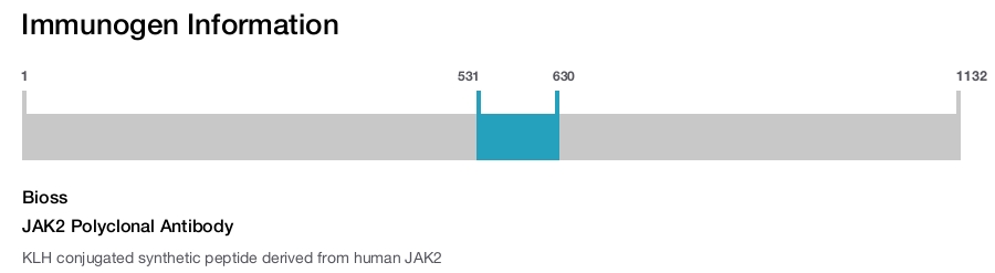 JAK2 Polyclonal Antibody