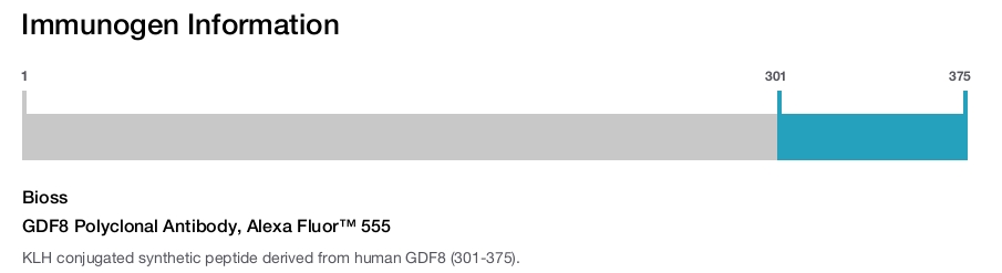 GDF8 Polyclonal Antibody, Alexa Fluor&trade; 555