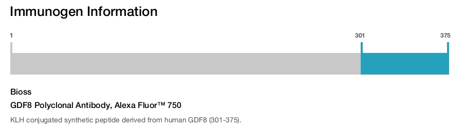 GDF8 Polyclonal Antibody, Alexa Fluor&trade; 750