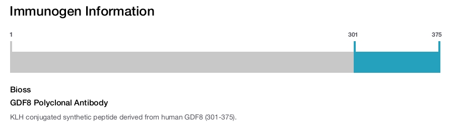 GDF8 Polyclonal Antibody