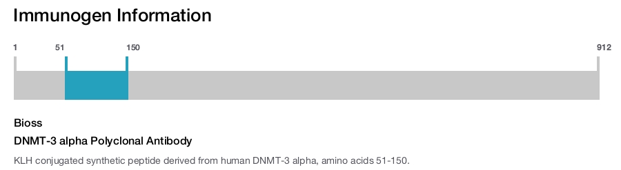 DNMT-3 alpha Polyclonal Antibody