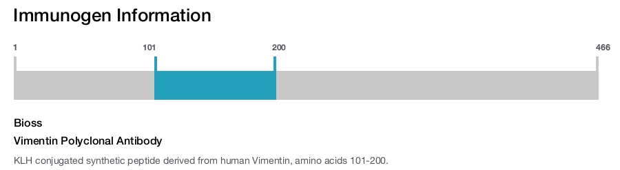 Vimentin Polyclonal Antibody