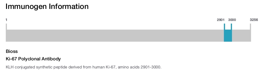 Ki-67 Polyclonal Antibody