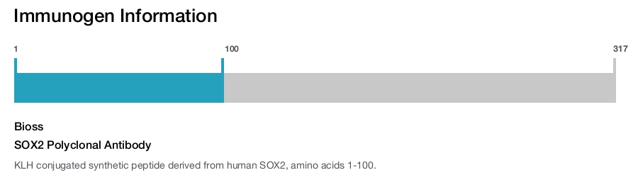 SOX2 Polyclonal Antibody