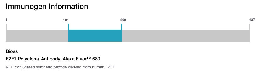 E2F1 Polyclonal Antibody, Alexa Fluor&trade; 680