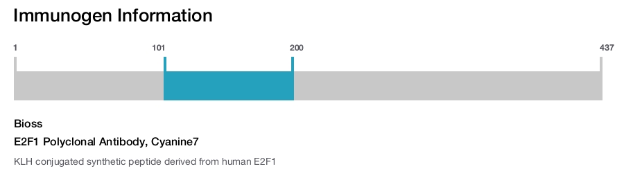 E2F1 Polyclonal Antibody, Cyanine7