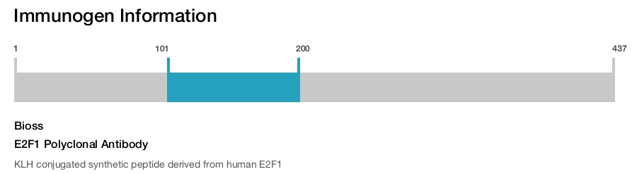 E2F1 Polyclonal Antibody