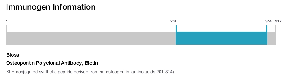 Osteopontin Polyclonal Antibody, Biotin