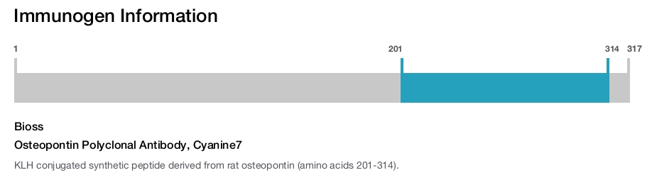Osteopontin Polyclonal Antibody, Cyanine7
