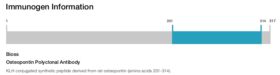 Osteopontin Polyclonal Antibody