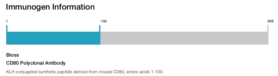 CD80 Polyclonal Antibody