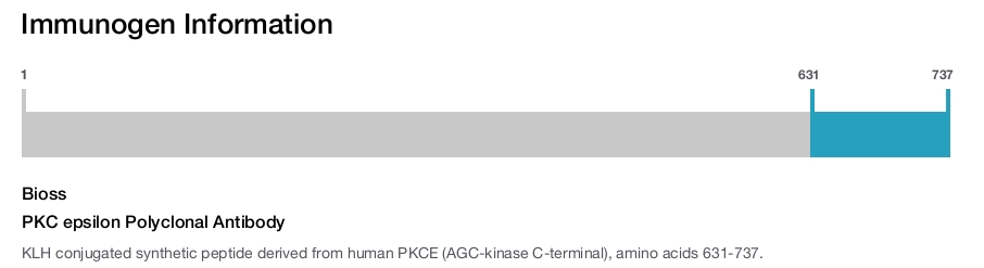 PKC epsilon Polyclonal Antibody