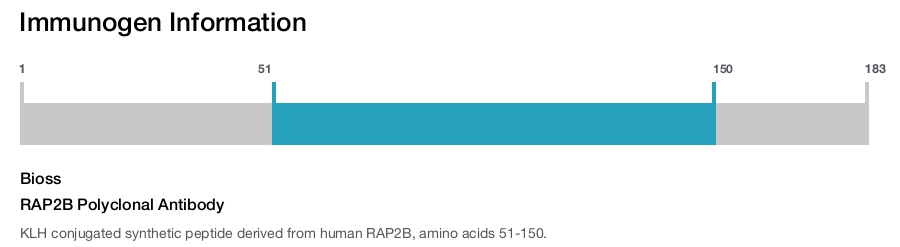 RAP2B Polyclonal Antibody