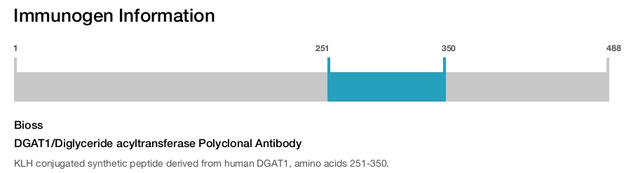 DGAT1/Diglyceride acyltransferase Polyclonal Antibody