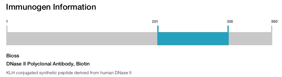 DNase II Polyclonal Antibody, Biotin