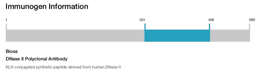 DNase II Polyclonal Antibody