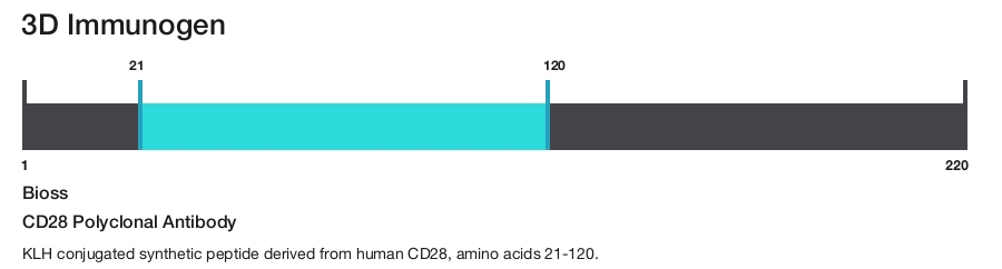 CD28 Polyclonal Antibody