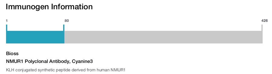 NMUR1 Polyclonal Antibody, Cyanine3